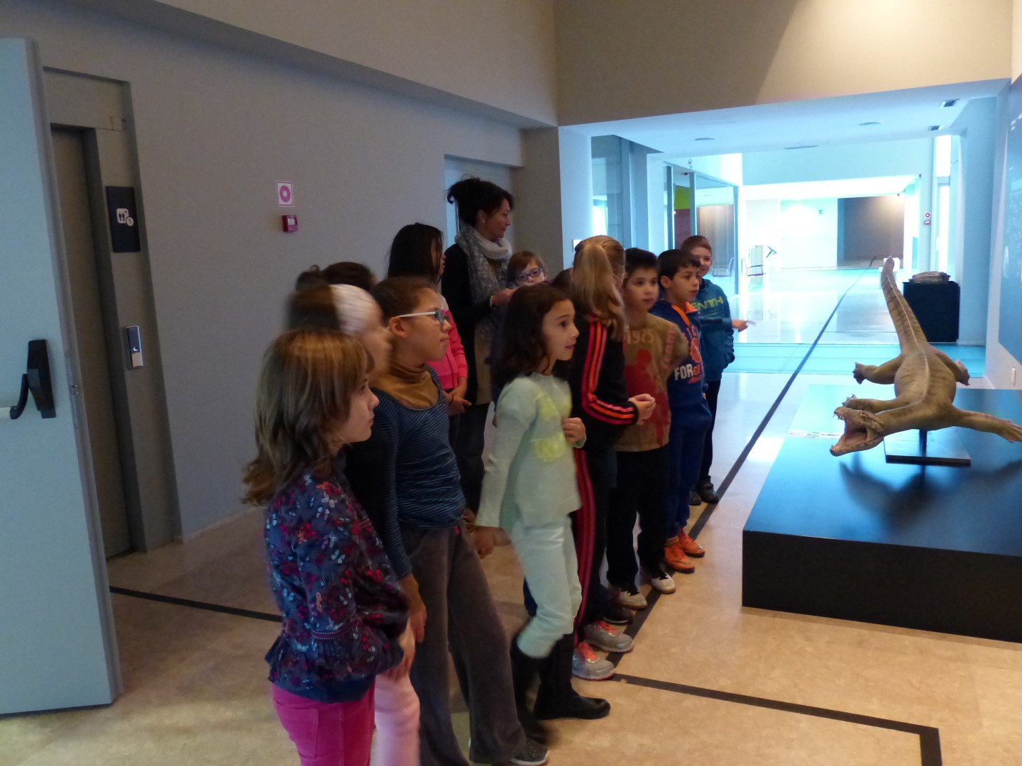 3º Visita El Museo Paleontológico 